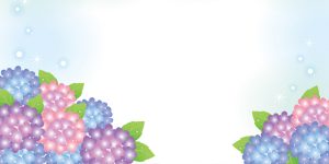 あじさい　イラスト