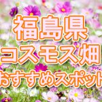 福島県（東北） 秋桜コスモス畑・名所・穴場　おすすめ人気スポット 2020年の見ごろは？
