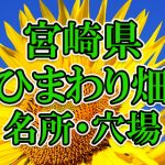 宮崎県のひまわり畑 オススメ人気スポット／名所／穴場・2020年イベント情報