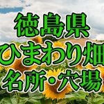 徳島県（四国）のひまわり畑 オススメ人気スポット／名所／穴場・2018年イベント情報