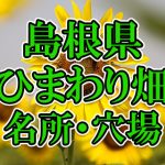 島根県（中国）のひまわり畑 オススメ人気スポット／名所／穴場・2018年イベント情報