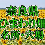 奈良県（関西）のひまわり畑 オススメ人気スポット／名所／穴場・2018年イベント情報
