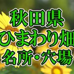 秋田県のひまわり畑 オススメ人気スポット／名所／穴場・2020年イベント情報