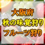 大阪府　秋の味覚狩り・果物狩りスポット2018年