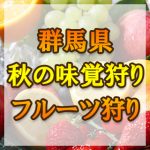 群馬県（関東）秋の味覚狩り・果物狩りスポット2018年
