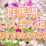 群馬県（関東） 秋桜コスモス畑・名所・穴場　おすすめ人気スポット 2020年の見ごろは？