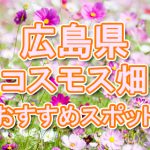 広島県　コスモス畑・名所・穴場　おすすめ人気スポット 2020年の見ごろは？