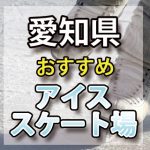 愛知県 アイススケート場・スケートリンク　屋内屋外/教室/通年
