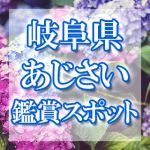 岐阜県のあじさい鑑賞スポット・名所・穴場　2021年の見ごろ・開花・紫陽花祭り情報