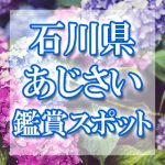 石川県のあじさい鑑賞スポット・名所・穴場　2021年の見ごろ・開花・紫陽花祭り情報