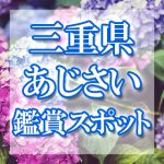 三重県のあじさい鑑賞スポット・名所・穴場　2021年の見ごろ・開花・紫陽花祭り情報