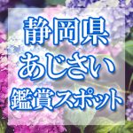 静岡県のあじさい鑑賞スポット・名所・穴場　2021年の見ごろ・開花・紫陽花祭り情報