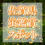 佐賀県（九州）のホタル観賞スポット・名所／穴場 2021 見ごろの時期は？