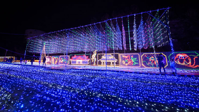 沖縄こどもの国 クリスマスファンタジー